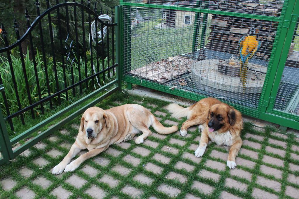 Apartmany A Chalupa Tara Albrechtice w Górach Izerskich Zewnętrze zdjęcie